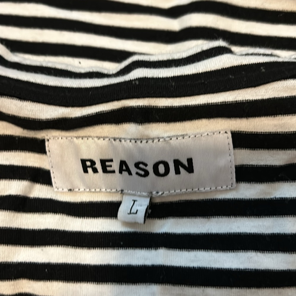 Reason - Picture 8 of 9